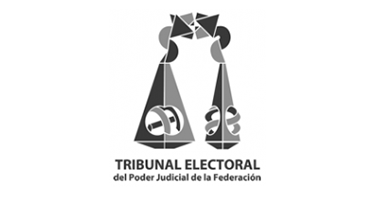 logo Tribunal Electoral